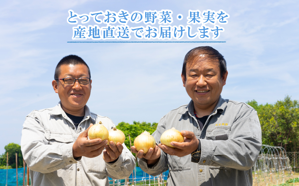 【新たまねぎ】名手農園の淡路島特産玉ねぎ 5kg【発送時期：2026年3月～5月頃】　[たまねぎ 玉ねぎ]