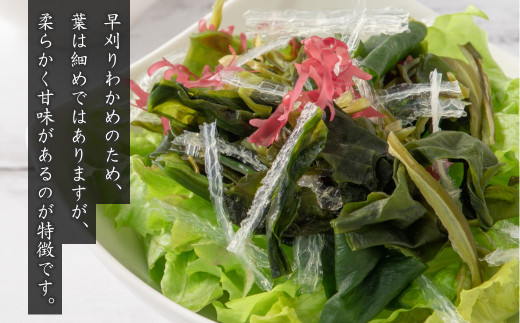 淡路島産 塩蔵わかめ 120g×6袋　わかめ