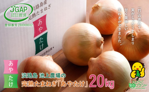 淡路島　池上農場の完熟たまねぎ「あやたけ」20kg　　[玉ねぎ 玉葱]