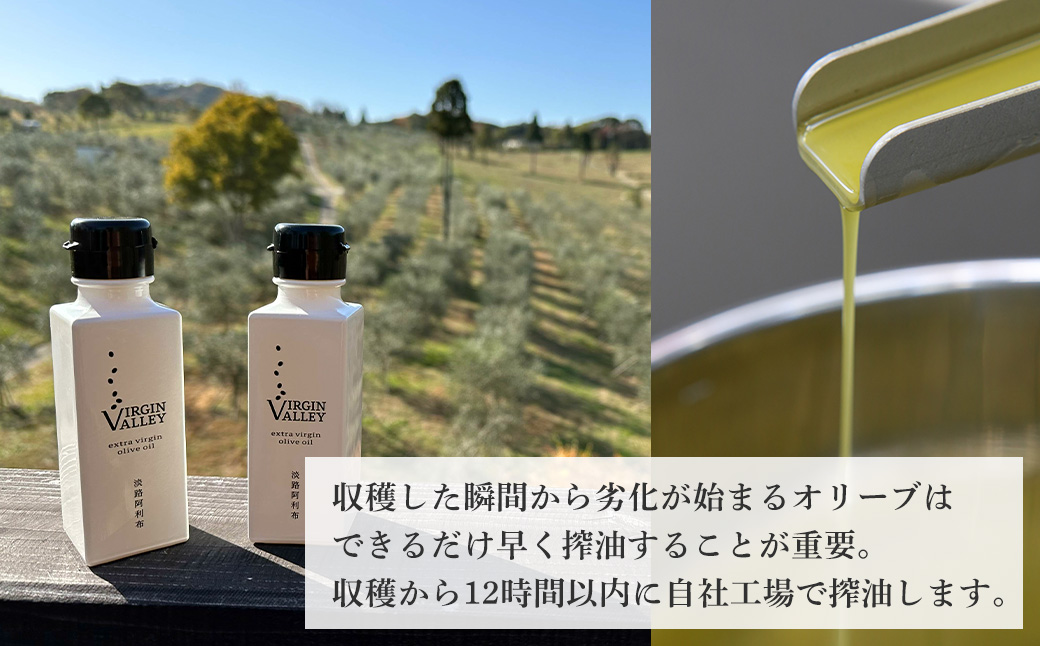 12本セット！「Virgin Valley 淡路阿利布」91ｇ（エキストラバージンオリーブオイル）【2024年度産】