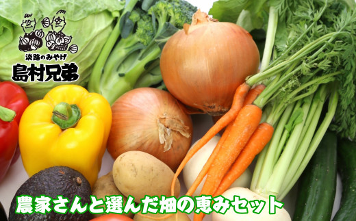 農家さんと選んだ畑の恵みセット　[野菜セット 野菜詰め合わせ]