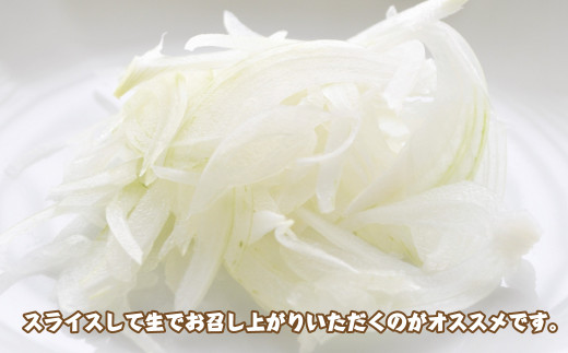 淡路島産　新たまねぎ　4ｋｇ【発送時期：2026年3月～5月頃】