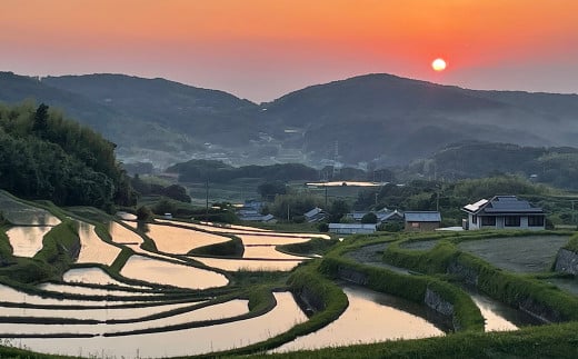 玄米》淡路島の棚田米 10kg 玄米（兵庫県淡路市） | ふるさと