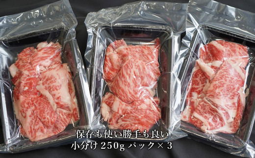 【定期便6ヶ月】 淡路牛 ロース切り落し 750g (250g×3パック)　　[小分け 冷凍 牛肉 人気]