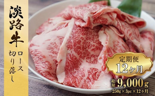 yɌWHszy12z WH [X؂藎 750g (250g×3pbN)@[ Ⓚ  lC]