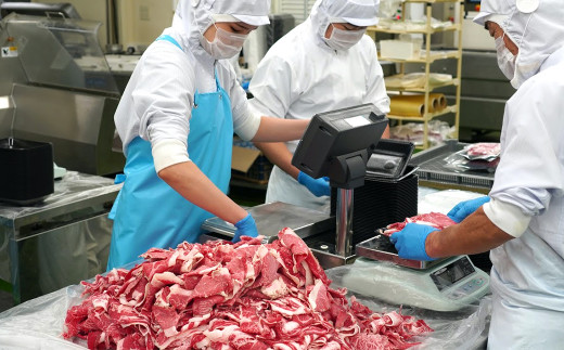 【定期便12ヶ月】淡路牛 切り落し 900g (300g×3パック）　[小分け 冷凍 牛肉 人気]