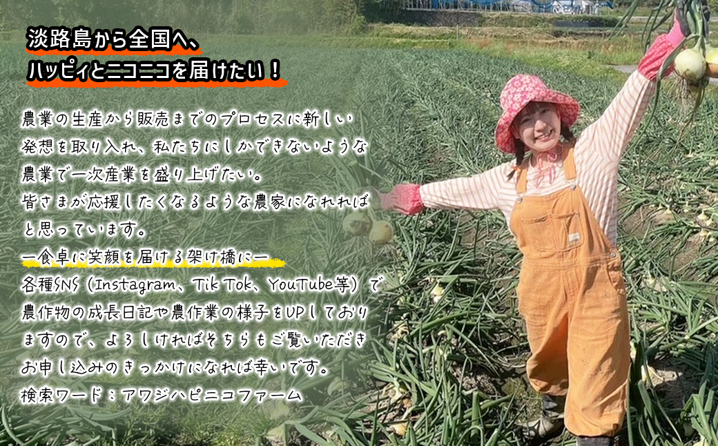 淡路島産ブランド新玉ねぎ 極早生 「にじたま」  10kgダンボール入り【発送時期2026年2月中旬～4月頃】