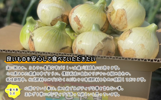 淡路島産ブランド新玉ねぎ 極早生 「にじたま」  20kgダンボール入り【発送時期2026年2月中旬～4月頃】