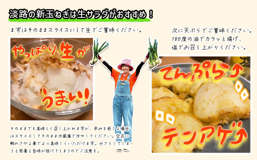 淡路島産ブランド新玉ねぎ 極早生 「にじたま」  20kgダンボール入り【発送時期2026年2月中旬～4月頃】