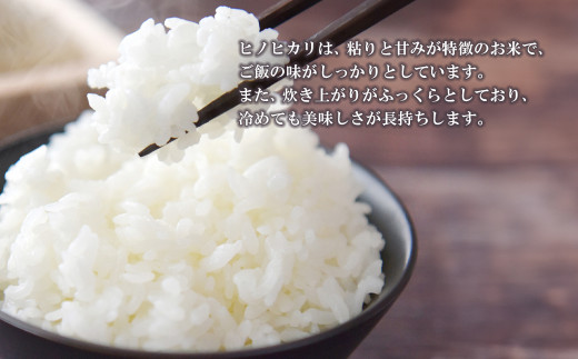 【定期便6ヶ月】名手農園の淡路島産ヒノヒカリ 10kg　[精米 白米