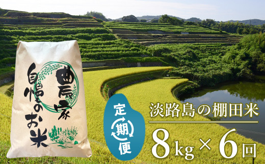 【定期便】淡路島の棚田米 ８kg×６回（毎月発送）　精米 白米
