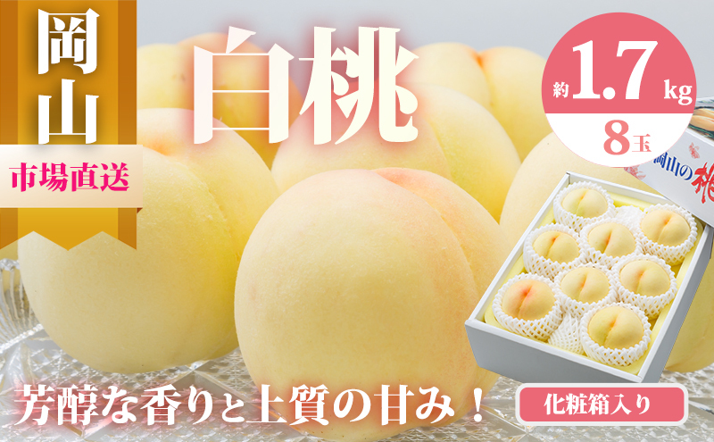 桃 2026年 先行予約 岡山 白桃 8玉（合計1.7kg以上）化粧箱入り もも モモ 岡山県産 国産 フルーツ 果物 ギフト 