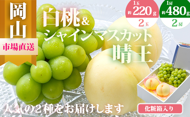 yRsz Ԃǂ 2026N s\ ʕ l  2ʁi1220gȏjVC}XJbg  2[i1[480gȏjϔ   RY Y t[c ʕ Mtg