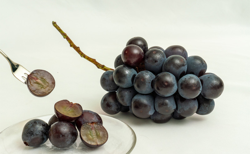 フルーツ 定期便 2026年 先行予約 フルーツ王国 岡山 厳選 果物 （7月 9月 10月）3回コース 桃 もも 葡萄 ぶどう 岡山県産 国産 セット ギフト 