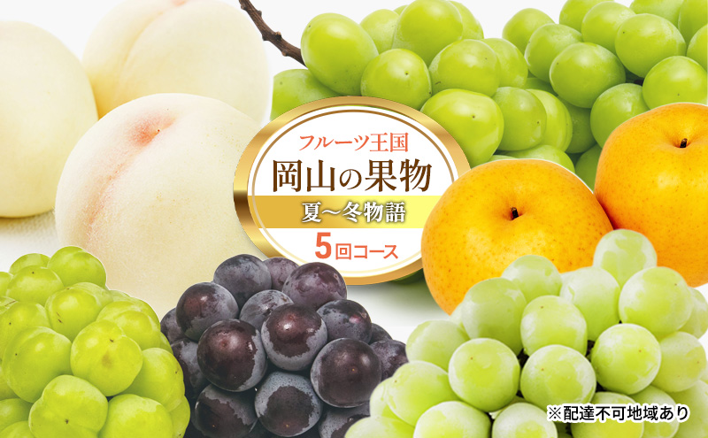 yRszt[c  2026N s\ t[c R̉ʕ 5R[X ā`~    Ԃǂ  ȂRY Y ʕ Zbg Mtg