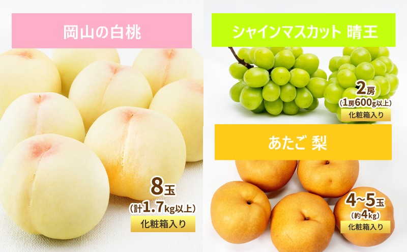 フルーツ 定期便 2026年 先行予約 フルーツ王国 岡山 ベストセレクト 3回コース 桃 もも 葡萄 ぶどう 梨 なし 岡山県産 国産 果物 セット ギフト 