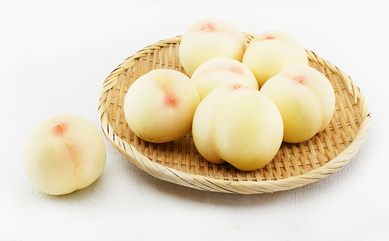 桃 ぶどう 梨 定期便 2026年 先行予約 フルーツ王国 岡山を堪能 6回コース 夏・秋・冬物語 白桃 フルーツ 果物 岡山 