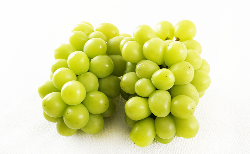 ぶどう 梨 定期便 2026年 先行予約 フルーツ王国 岡山を堪能 定期便 3回コース 葡萄 ぶどう 梨 なし 岡山県産 国産 果物 セット ギフト 