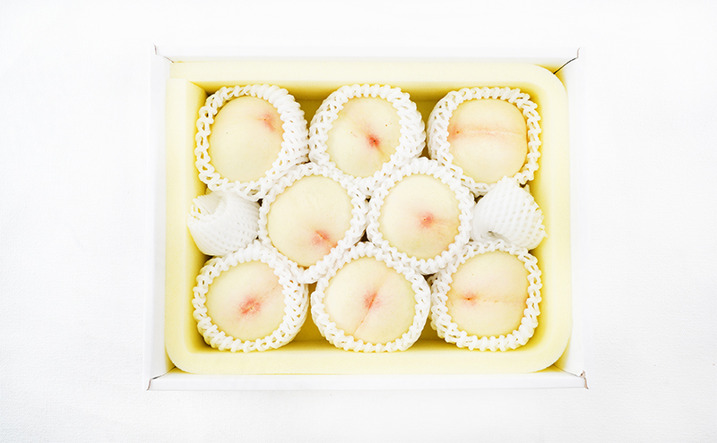 桃 定期便 2026年 先行予約 岡山 の 白桃 8玉 合計1.7kg以上×2回 お届け 化粧箱入り もも モモ 岡山産 国産 フルーツ 果物 ギフト 