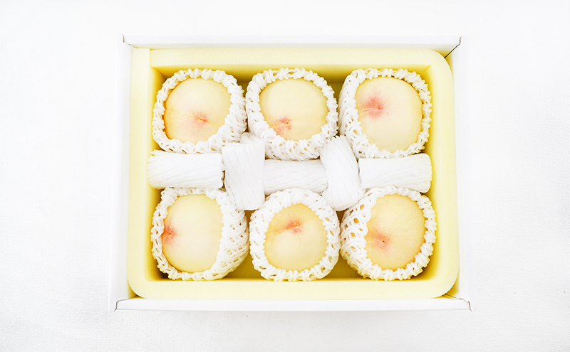 桃 定期便 2026年 先行予約 岡山 の 白桃 6玉 合計1.6kg以上×2回 お届け 化粧箱入り もも モモ 岡山産 国産 フルーツ 果物 ギフト 