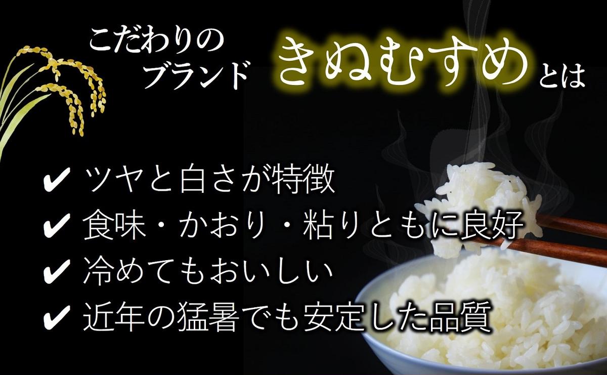 【きぬむすめ】令和６年産 白米10kg（10kg×1袋）(25-20)