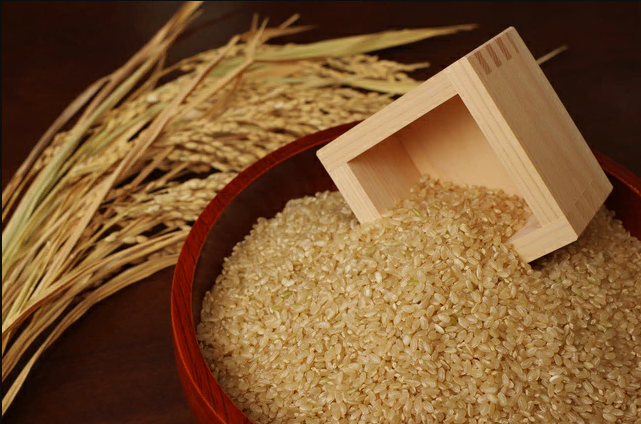 健康志向の方におすすめ【きぬむすめ】令和６年産 玄米10kg（10kg×1袋）(19-42)