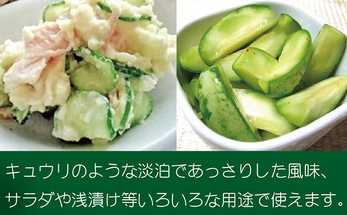 『クラウンメロンの子メロン』 メロン 人気 厳選 ギフト 贈り物 デザート グルメ フルーツ 果物 袋井市 果物類 メロン青肉 