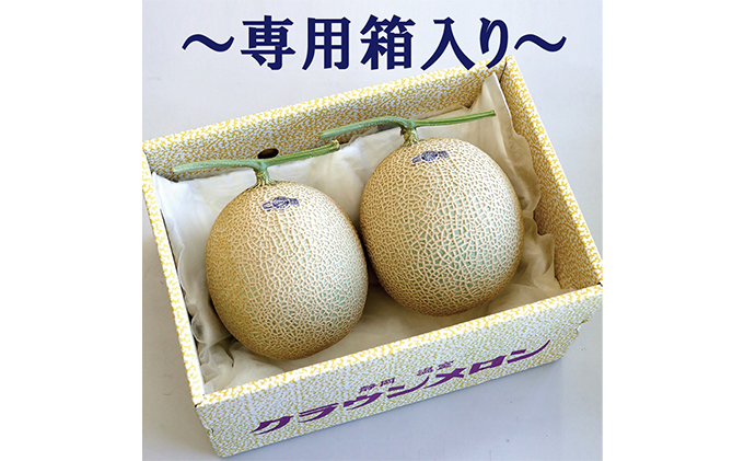 クラウンメロン　規格外特大玉（約1.7Kg～）2玉入　 果物類 メロン青肉 