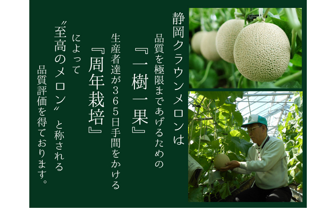 ★発送月選択できる返礼品★ 『クラウンメロン（白等級）特大玉 1玉』  メロン 人気 厳選 ギフト 贈り物 デザート グルメ 袋井市