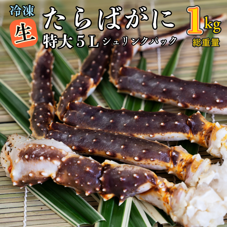 y錧z΂ 0.8kgid 1kg j  5L VNpbN JW} ΊI ^oKj ΂  Jj I