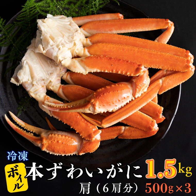 【12月25日決済確定分まで年内発送】 ボイル 本ずわいがに 1.5kg 6肩 (500g × 3) カジマ ずわい蟹 ズワイガニ ずわいがに かに カニ 蟹