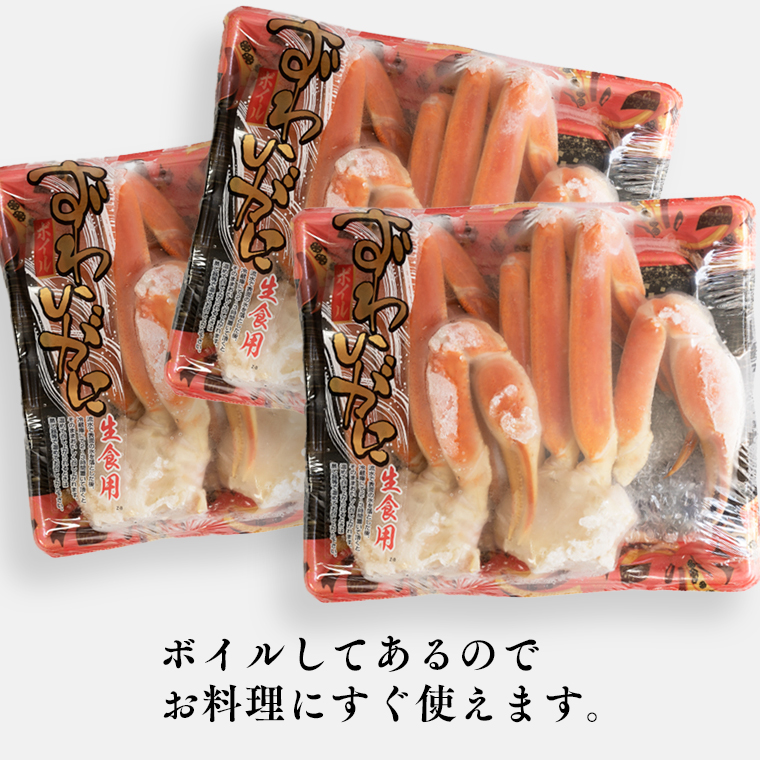【12月25日決済確定分まで年内発送】 ボイル 本ずわいがに 1.5kg 6肩 (500g × 3) カジマ ずわい蟹 ズワイガニ ずわいがに かに カニ 蟹