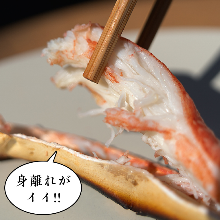 【12月25日決済確定分まで年内発送】 ボイル 本ずわいがに 1.5kg 6肩 (500g × 3) カジマ ずわい蟹 ズワイガニ ずわいがに かに カニ 蟹