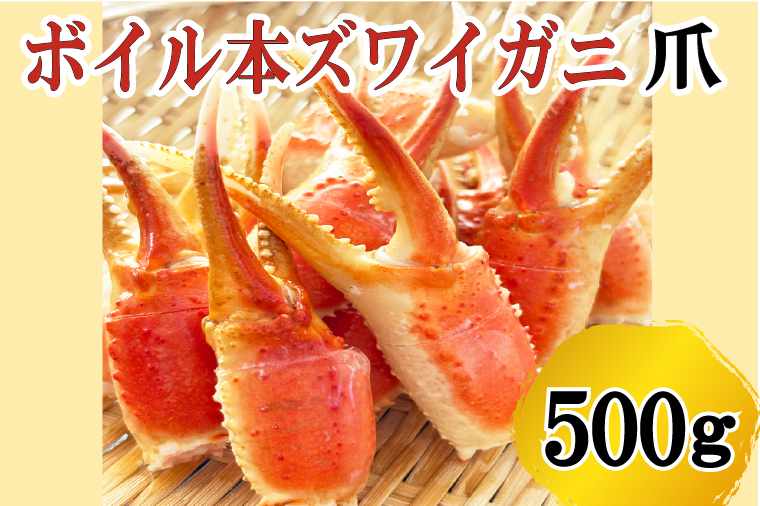 【12月25日決済確定分まで年内発送】 ボイル 本ずわいがに 爪 500g×1 カジマ ずわい蟹 ズワイガニ ずわいがに かに カニ 蟹 かに爪 カニ爪
