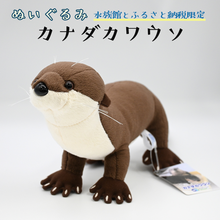 ぬいぐるみ カワウソ アクアワールド 大洗 オリジナル グッズ