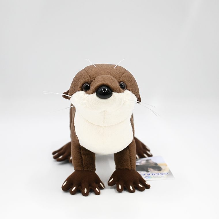 ぬいぐるみ カワウソ アクアワールド 大洗 オリジナル グッズ