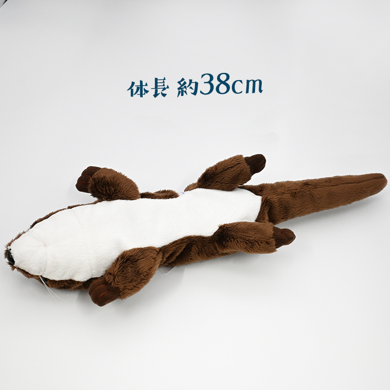 ぬいぐるみ カワウソ アクアワールド 大洗 オリジナル グッズ