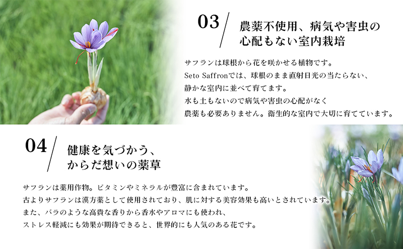 【Seto SAFFRON】SSエッセンス<美容液>（30ml） 美容グッズ スキンケア 