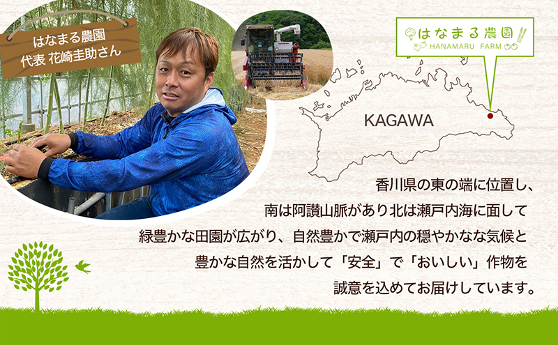 冬から春が旬の「菜花(菜の花)」1.2kg 地域のお礼の品 カタログ 