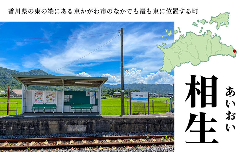 コンテナハウス一棟貸しの宿【The Villa AIOI】宿泊券（1名様） 旅行 