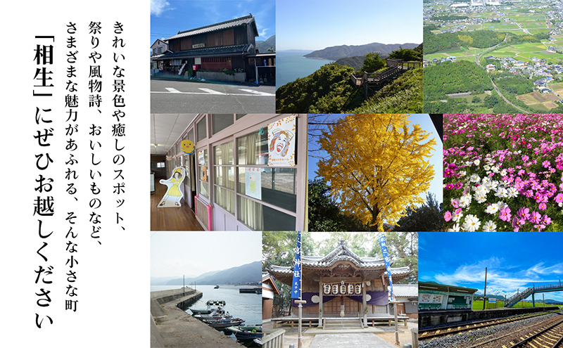 コンテナハウス一棟貸しの宿【The Villa AIOI】宿泊券（1名様） 旅行 