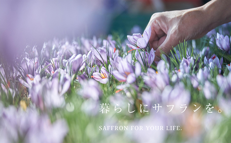 【Seto SAFFRON】SSエッセンス<美容液>（30ml） 美容グッズ スキンケア 