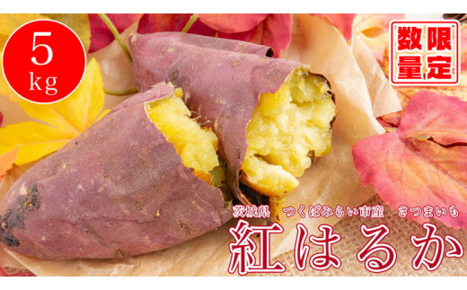 オーガニックさつまいも5kg【農薬・肥料不使用】【茨城県共通返礼品 つくばみらい市】
※2025年10月下旬～2026年2月下旬頃発送予定