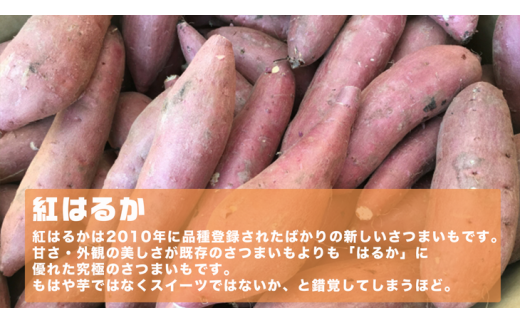 オーガニックさつまいも5kg【農薬・肥料不使用】【茨城県共通返礼品 つくばみらい市】
※2025年10月下旬～2026年2月下旬頃発送予定
