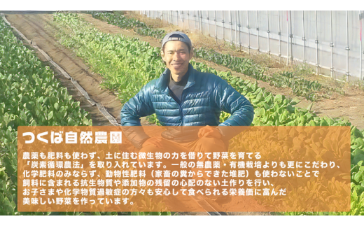 オーガニックさつまいも5kg【農薬・肥料不使用】【茨城県共通返礼品 つくばみらい市】
※2025年10月下旬～2026年2月下旬頃発送予定