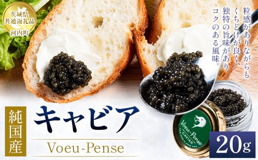 【先行予約】純国産 キャビア Voeu-Pense 20g 【茨城県共通返礼品　河内町】 魚介 魚卵 ベステル卵 贈り物 ギフト お土産 国産 グルメ 食品 加工品 冷凍 茨城県 守谷市 送料無料 ※2026年1月中旬頃より順次発送予定