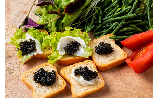 【先行予約】純国産 キャビア Voeu-Pense 20g 【茨城県共通返礼品　河内町】 魚介 魚卵 ベステル卵 贈り物 ギフト お土産 国産 グルメ 食品 加工品 冷凍 茨城県 守谷市 送料無料 ※2026年1月中旬頃より順次発送予定