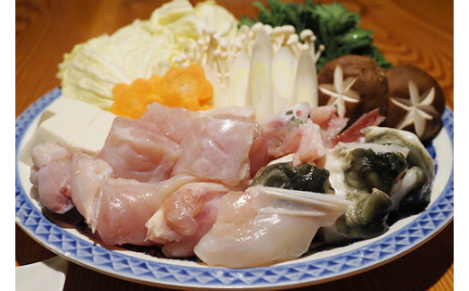 茨城県守谷市のふるさと納税 トラフグ てっちり 鍋 錦ふぐ ぽんす セット とらふぐ 切り身 260g×2パック 【茨城県共通返礼品　河内町】