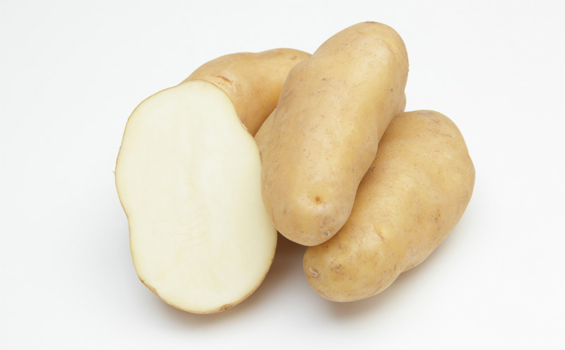 【2026年3月から順次出荷】 北海道 南富良野町 越冬じゃがいも「メークイン」5kg(S～2Lサイズ混合) 越冬 じゃがいも ジャガイモ メークイン 野菜 やさい 芋 北海道野菜 北海道産じゃがいも 