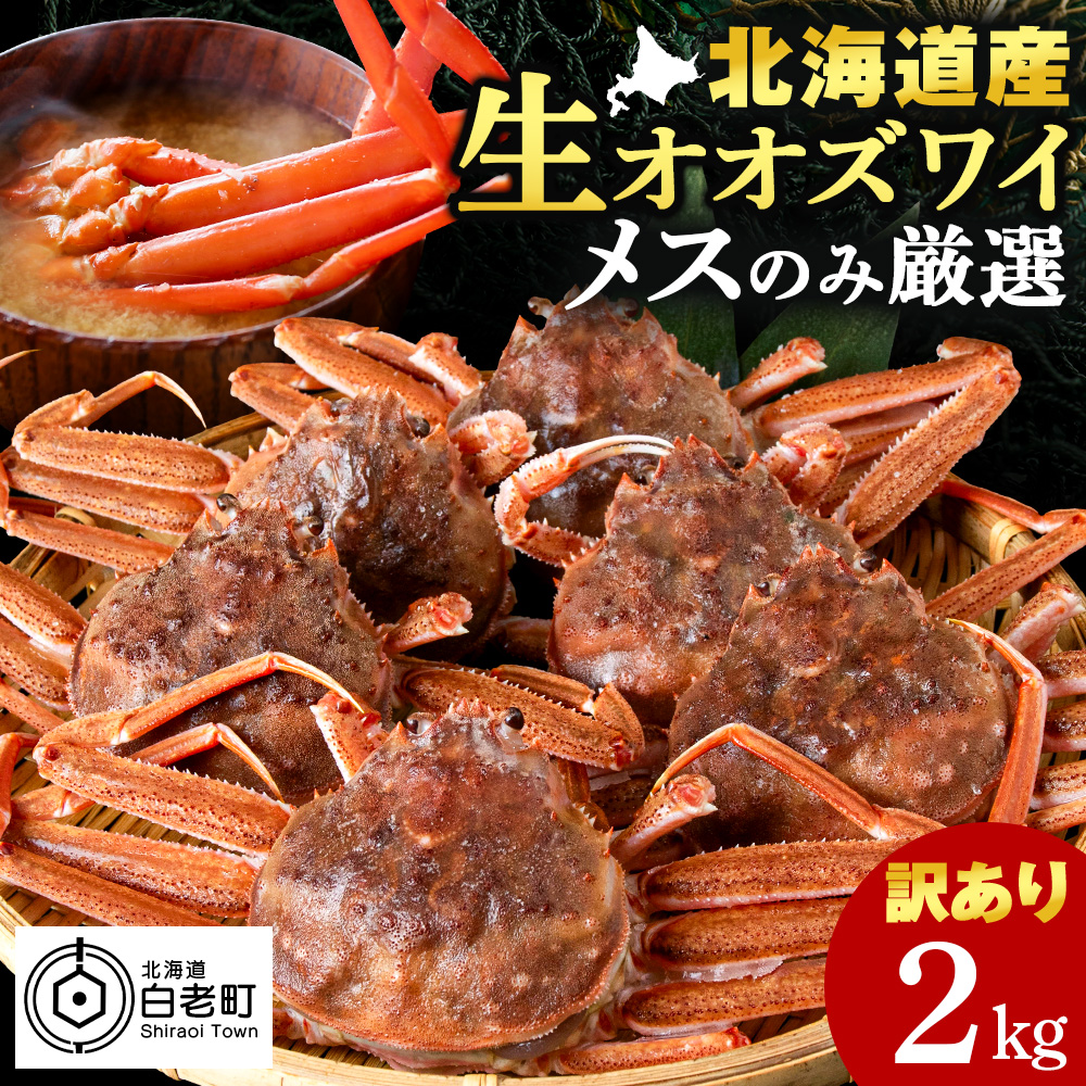 北海道産 生大ズワイガニ メス 2kg ずわいがに 蟹 [斉藤水産]